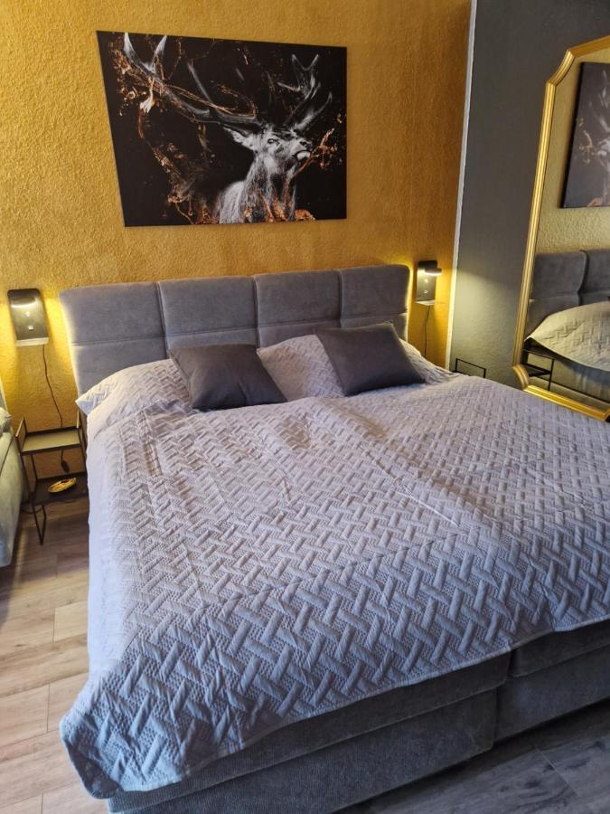 Apartment Am Bocksberg II Гослар Экстерьер фото